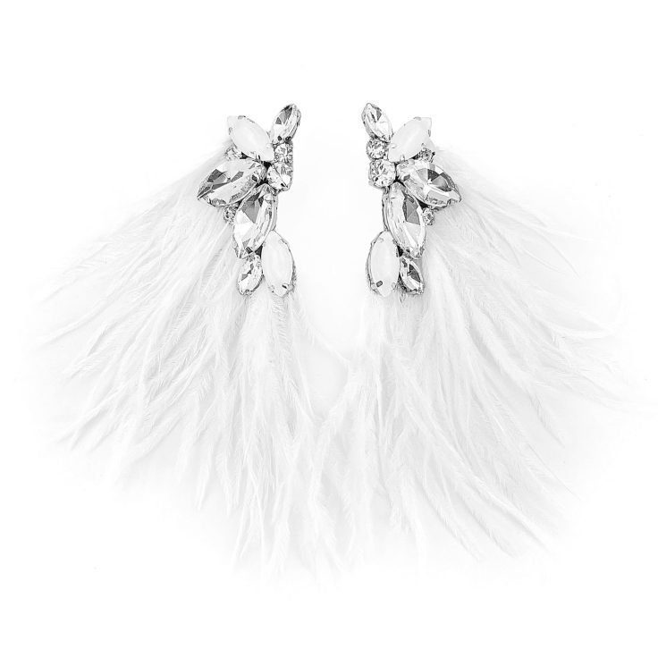 Orecchini Con Pietre Crystal E Piume Bianche - Cl969