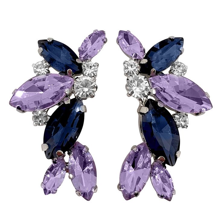 Orecchini Con Pietre Blu E Glicine - Cl1011