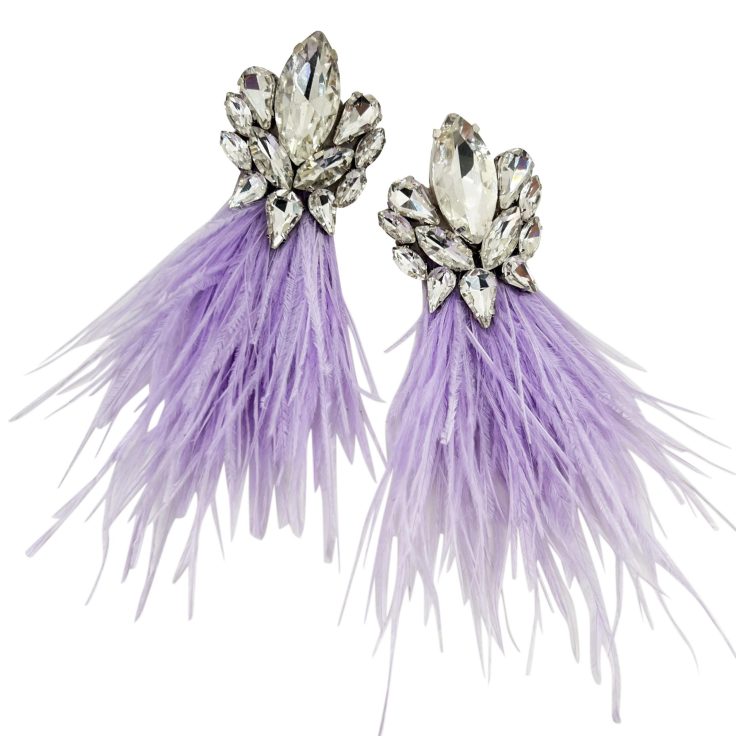 Orecchini Con Pietre Crystal E Piume Glicine  - Cl886