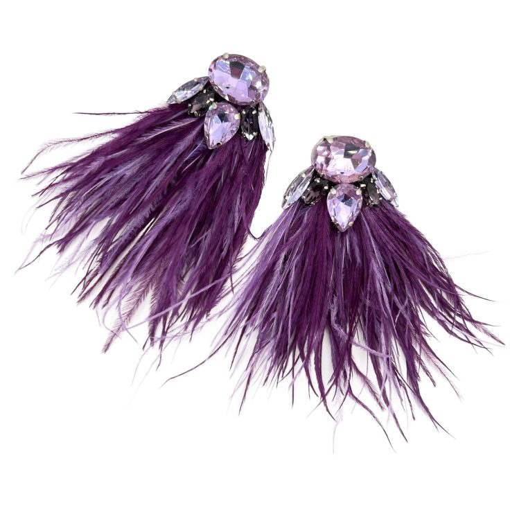 Orecchini Con Piume E Pietre Viola - Cl928